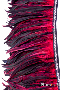 Col coq bordure argentée - long. plumes 25-32 cm - noir-carmin